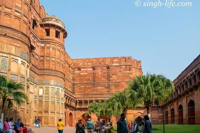 Taj Mahal Sunrise Tour with Elephant Conservation From Delhi - Meeting rescued elephants at the care center