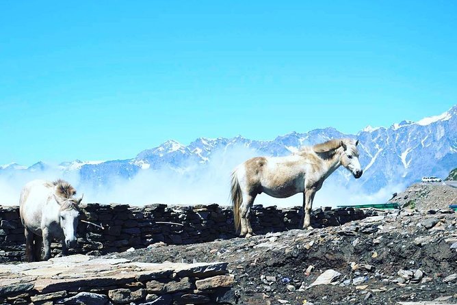 Unique Shimla and Manali tour - Day 3: the long road from Shimla to Manali