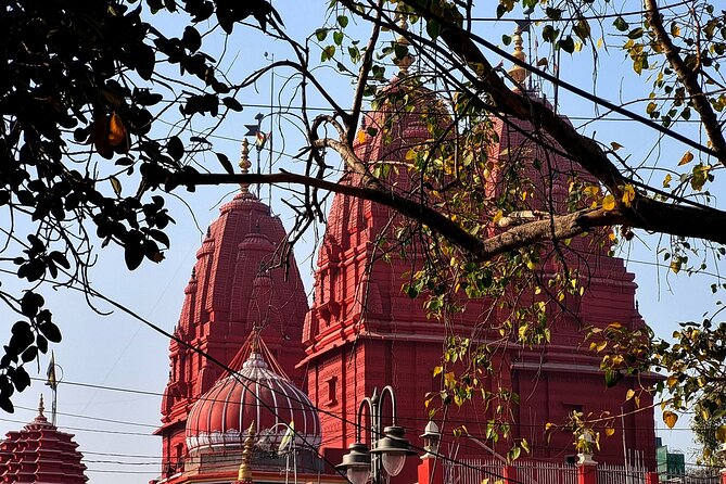 Unlock Delhi's Secrets: Food and Photography Full Day Tour - Finishing near Lodhi Gardens