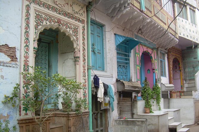 Vegan Food and walking tour in Delhi - Practical booking advice before you go