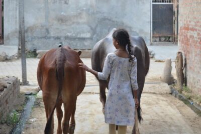 Village Snapshot – Pure and simple